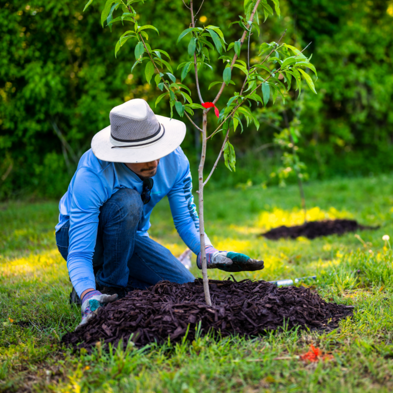 Website - Living Lab Pictures