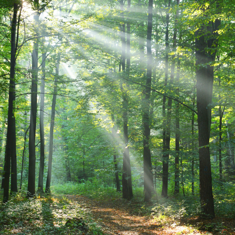 Website - Living Lab Pictures (1)