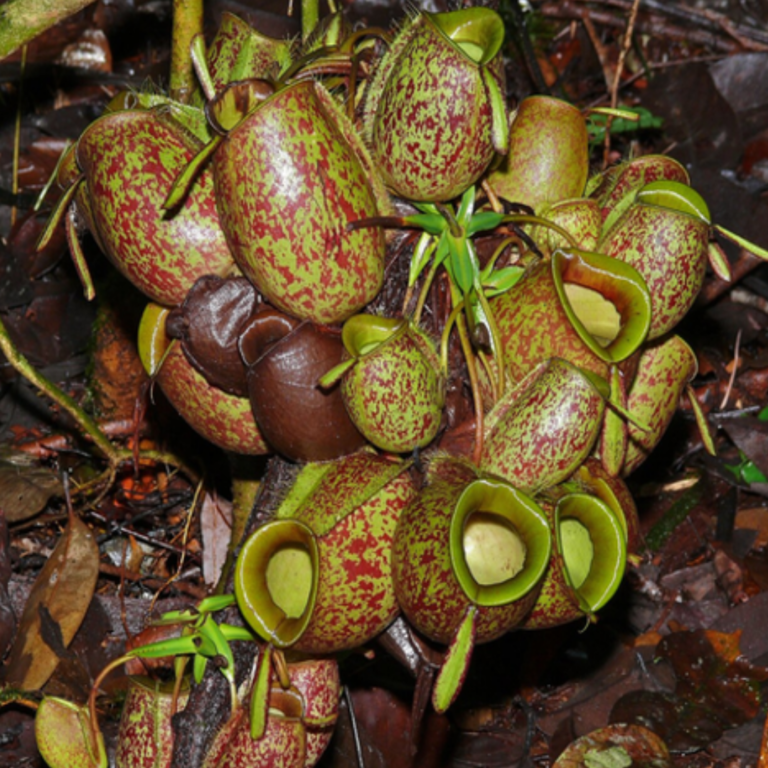 Website - Living Lab Pictures (2)