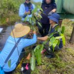 WhatsApp Image 2026-02-24 at 13.17.11 (1)